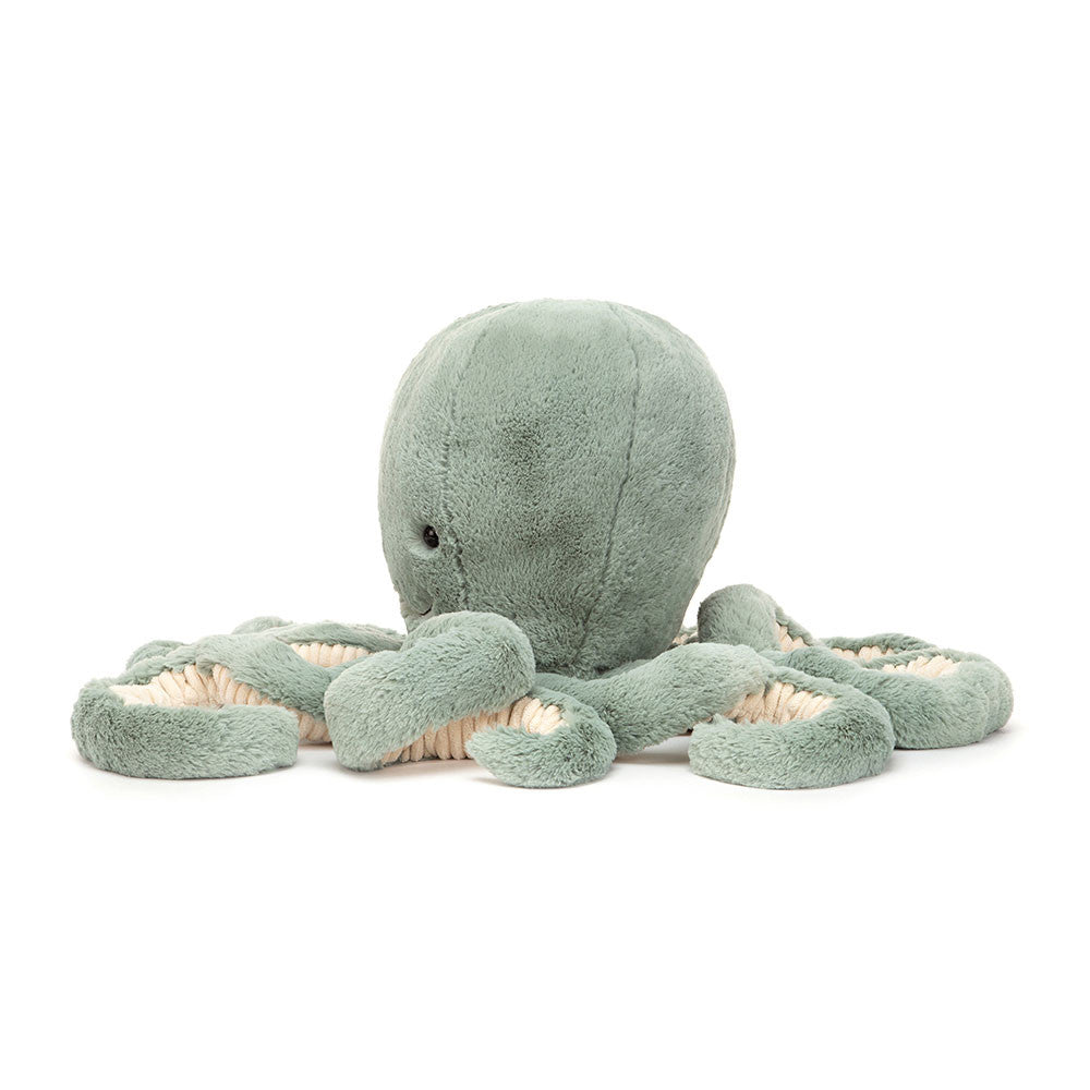 Odyssey Octopus